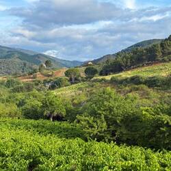 Towards Villafranca