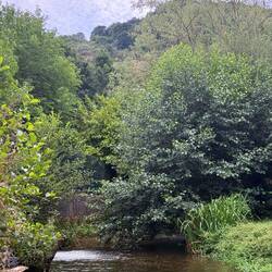 The view as I soaked. Unbelievably clear water!