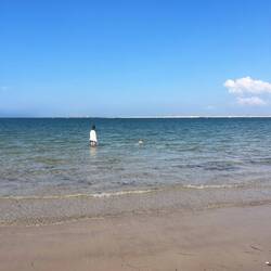 Erkundung und erstes Schwimmen