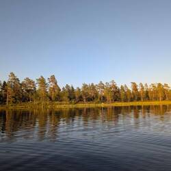 Schönes Licht am Ufer