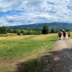 Panorama beim verlassen eines Waldabschnitts