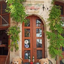 Biertrinkende Bären