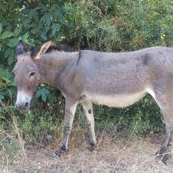 ... auf dem Weg zur Quelle Syri i kalter