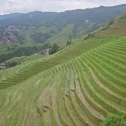 Montée en téléphérique pour prendre la mesure du travail titanesque des Zhuangs (minorité ethnique)
