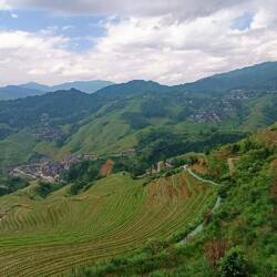Spectaculaire, d'autant que la culture en terrasse nécessite un travail exclusivement manuel