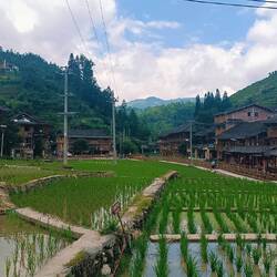 Village de Dazhai au milieu des rizières