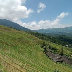 Voyez vous l'agriculteur?