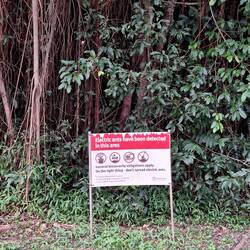 ..elektrische Ameisen (?!)..