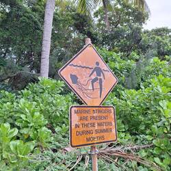 ..und tödliche Quallen.