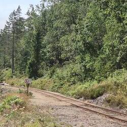 Hed scho chli gstonke 😉