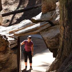 Unterwegs auf dem Holzweg... 😁✌🏼