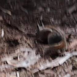 Was hier wohl verbuddelt wird? 🤔😊