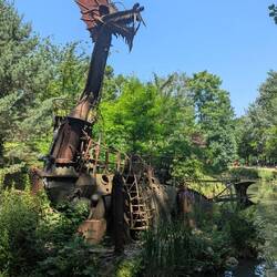 Drachen im Park