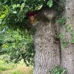 The tree elf.