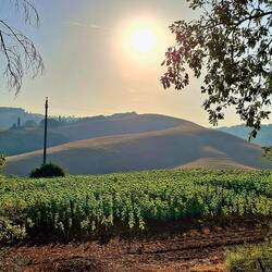 Het ochtendlicht strijkt over de Toscaanse heuvels