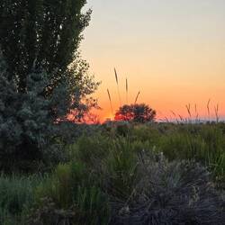 Sunsets are beautiful here.