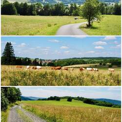 Große Tour am Samstag in der hohen Rhön