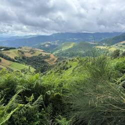 Love love love this view