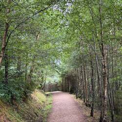 The last stretch was more up and down than I remembered.