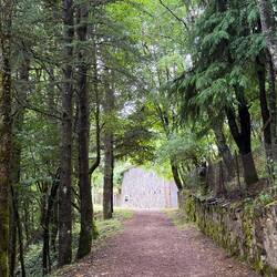 The last stretch leading into O Cebreiro