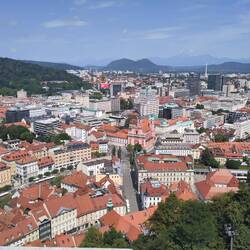 Aussicht vom Turm
