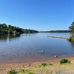 Morgenbad im Simsjön