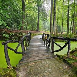 Veel leuke bruggetjes.