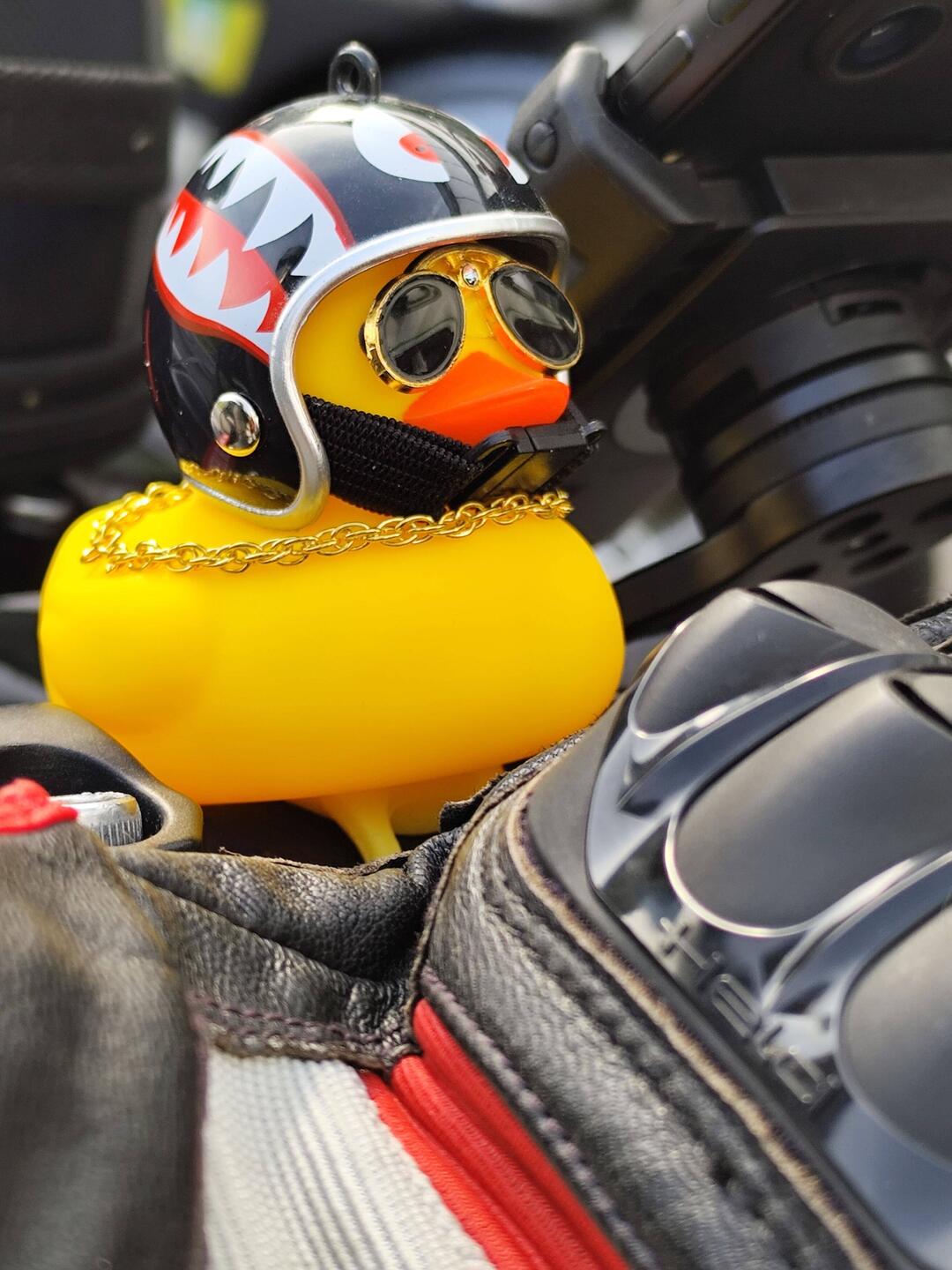 Rocker-Ente