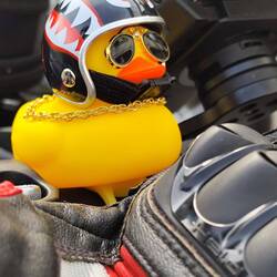 Rocker-Ente
