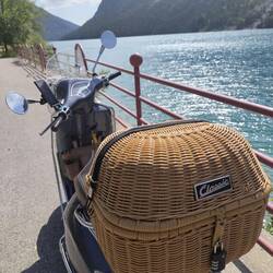 Plansee