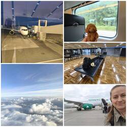 Oulu 🛤️ Helsinki 💤 Riga ✈️ Frankfurt/Main