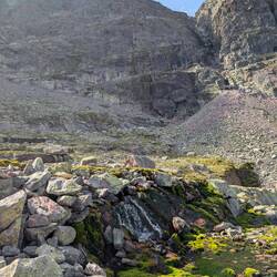 Moos und Miniwasserfall