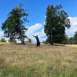 Erinnert mich an einen Hochspringer.
