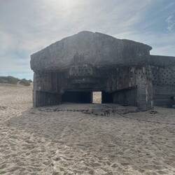 Bunker mit Haken zur Leinenbefestigung