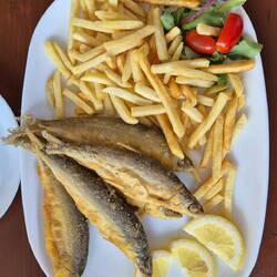 lokaler fisch