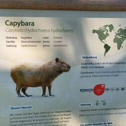 Mein neuer Liebling- vorher noch nie davon gehort