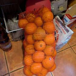 Sack Orangen für 5 €