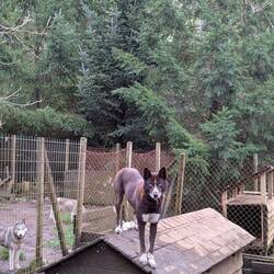 Lyra ist aus dem Häuschen