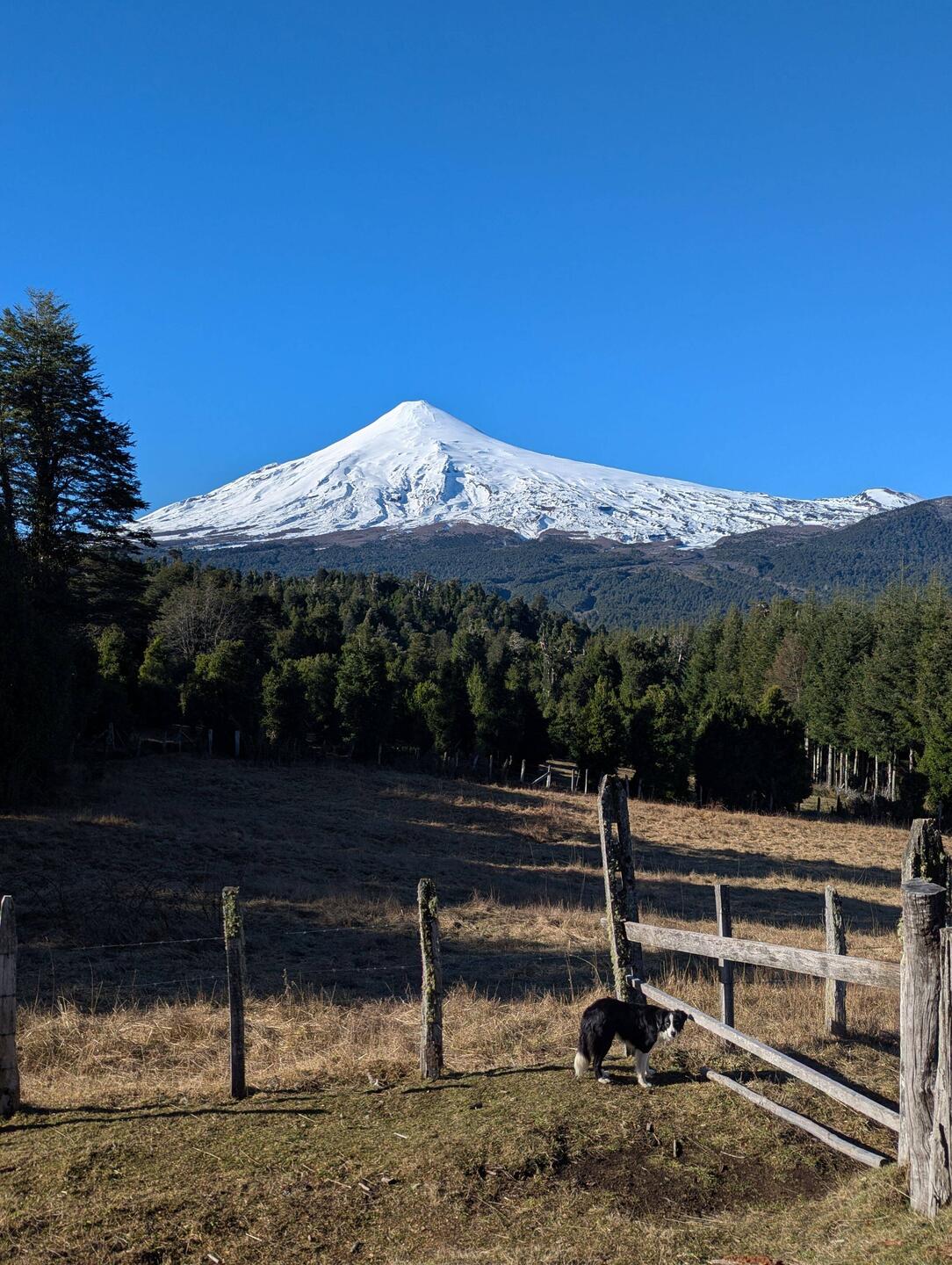 Vulkan Villarica, Hütte liegt rechts an der Schneegrenze