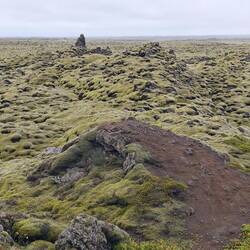 Eindrücke von den Moos-Lava-Feldern