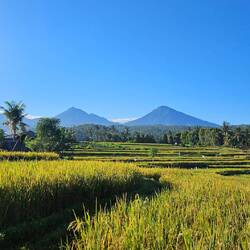 Du wunderschönes Bali....