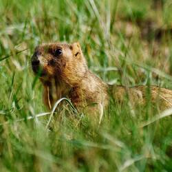 Mama passt auf, dann...