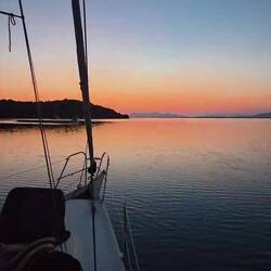 Sound on 🐺🦁🐯🐱