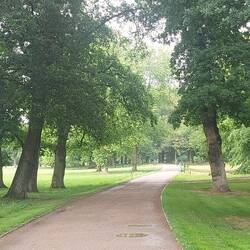 Wenig los im Park