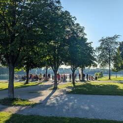 Idylle am Morgen