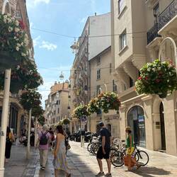Toulon is known for its art works and flowers. These types of arrangements were in a lot of streets