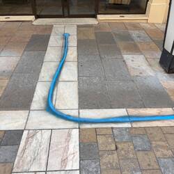This blue line started at our hotel, it led you to artworks around downtown Toulon
