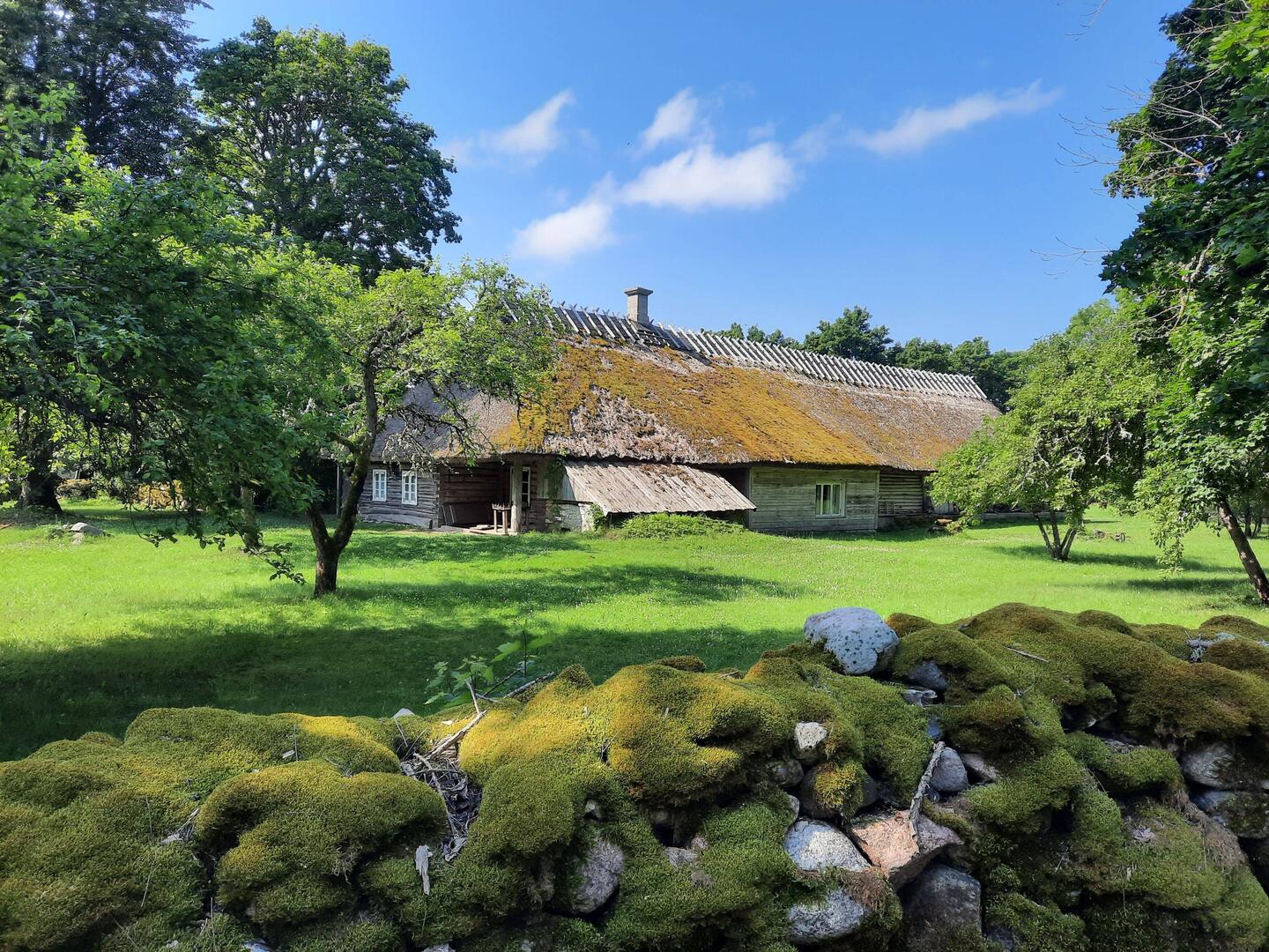 Muhu-Museum, Koguva