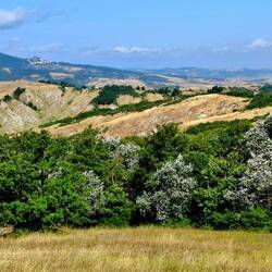 Met het stijgen is er wat meer bos. Gelukkig.