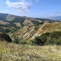 Met de hoogte veranderd ook de vegetatie.